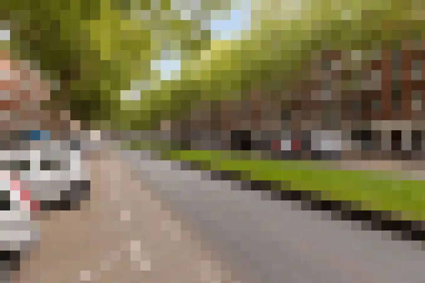 Dordtselaan 150 A Rotterdam thumbnail 5