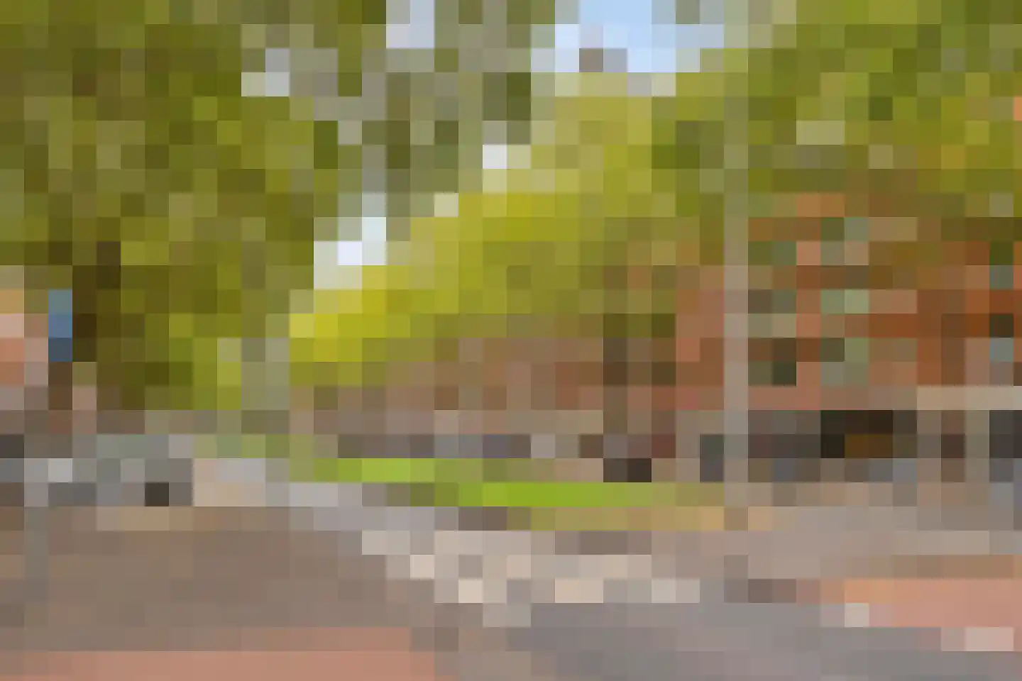 Dordtselaan 150 B Rotterdam thumbnail 15