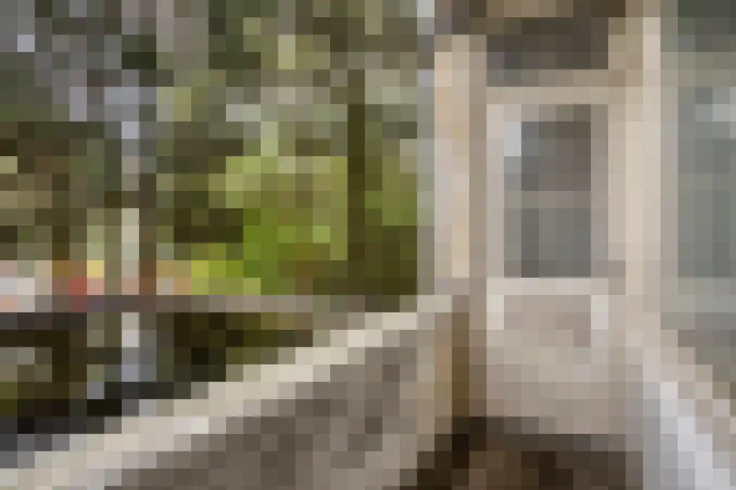 Dordtselaan 150 B Rotterdam thumbnail 18