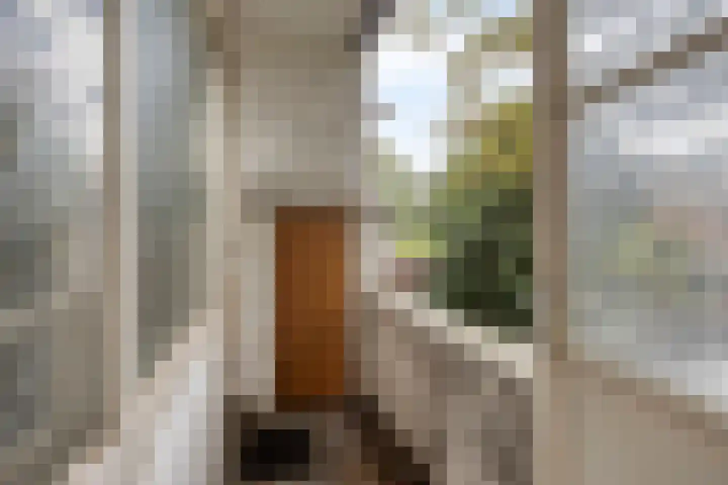 Dordtselaan 150 B Rotterdam thumbnail 19