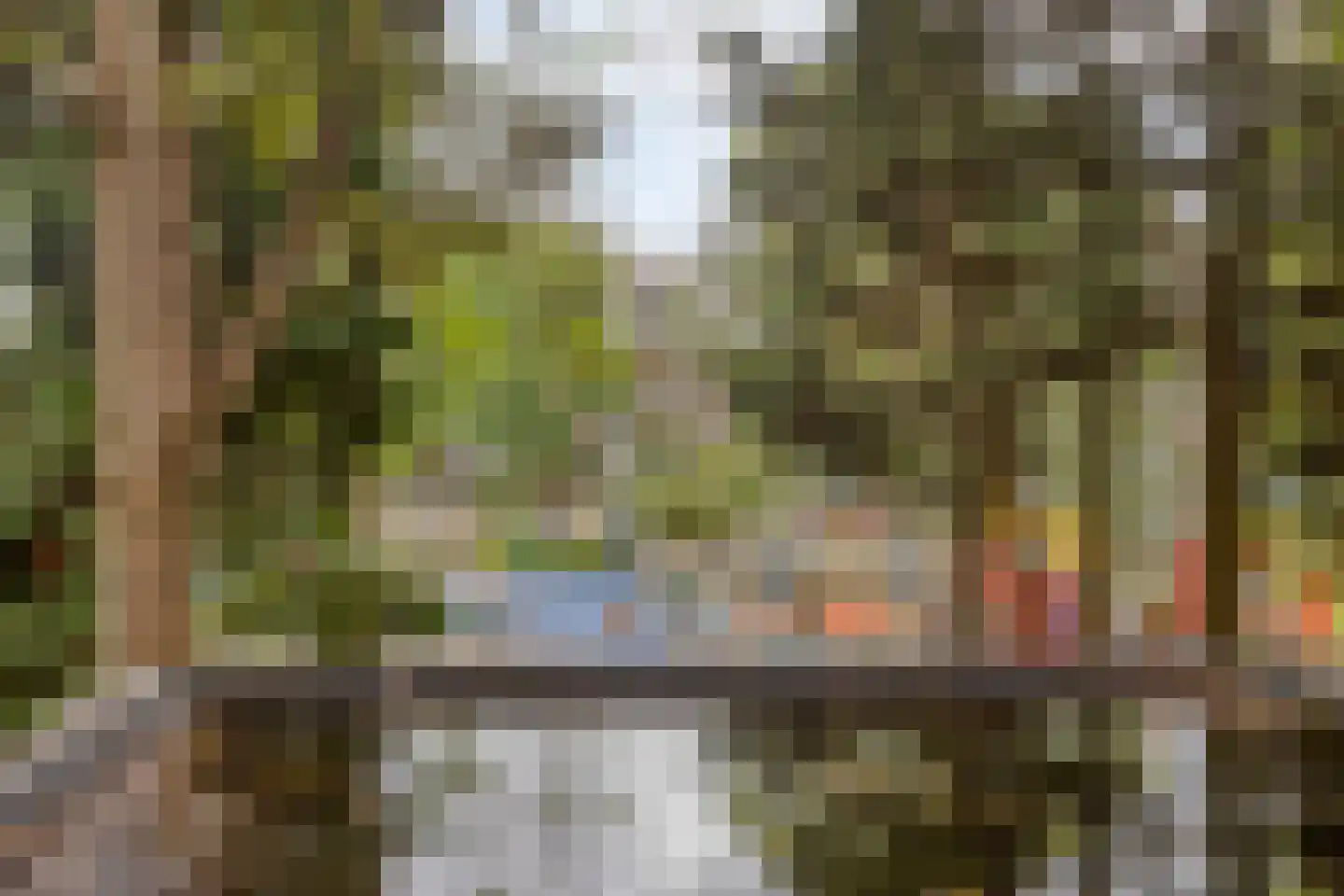 Dordtselaan 150 B Rotterdam thumbnail 20