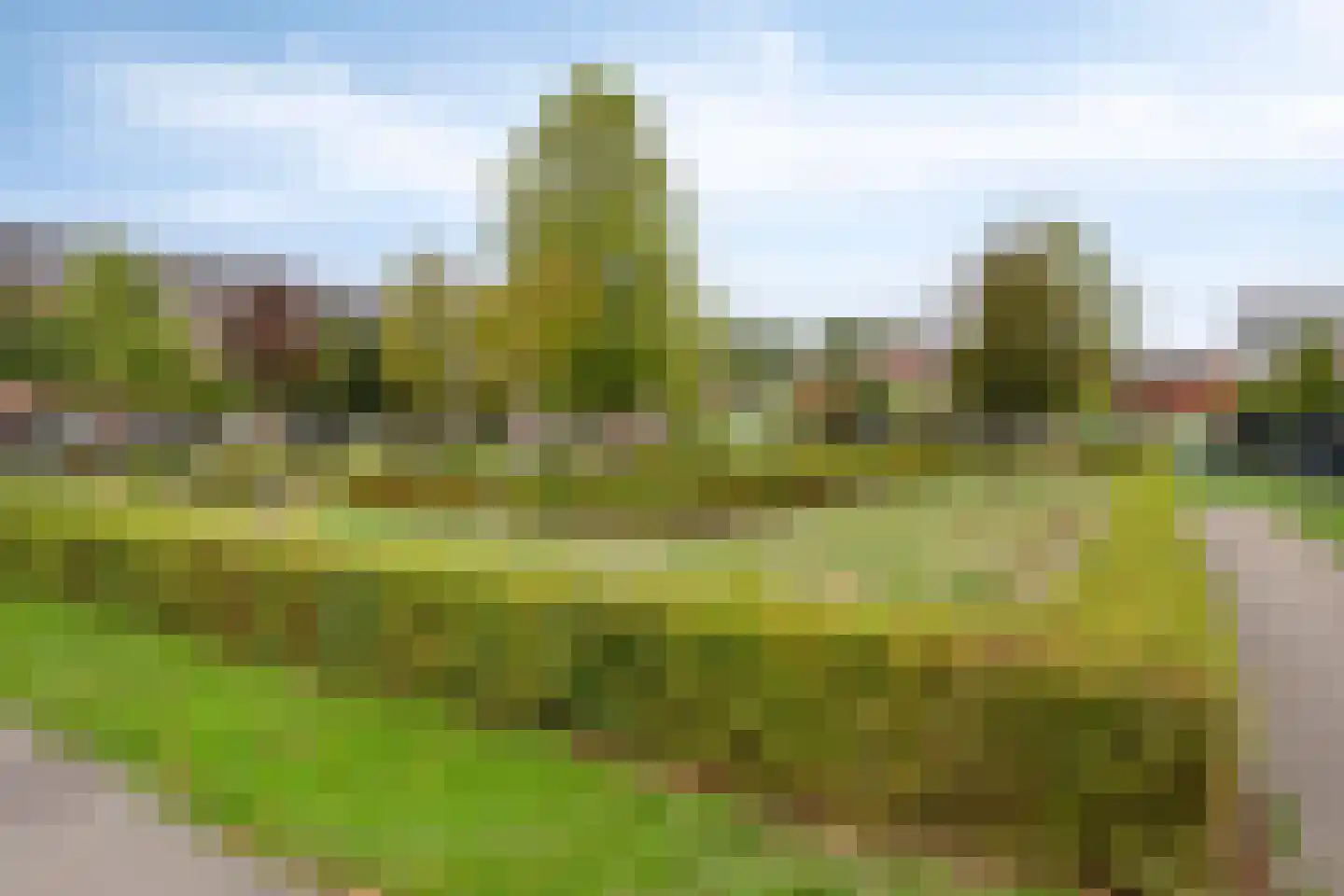 Dordtselaan 150 B Rotterdam thumbnail 23