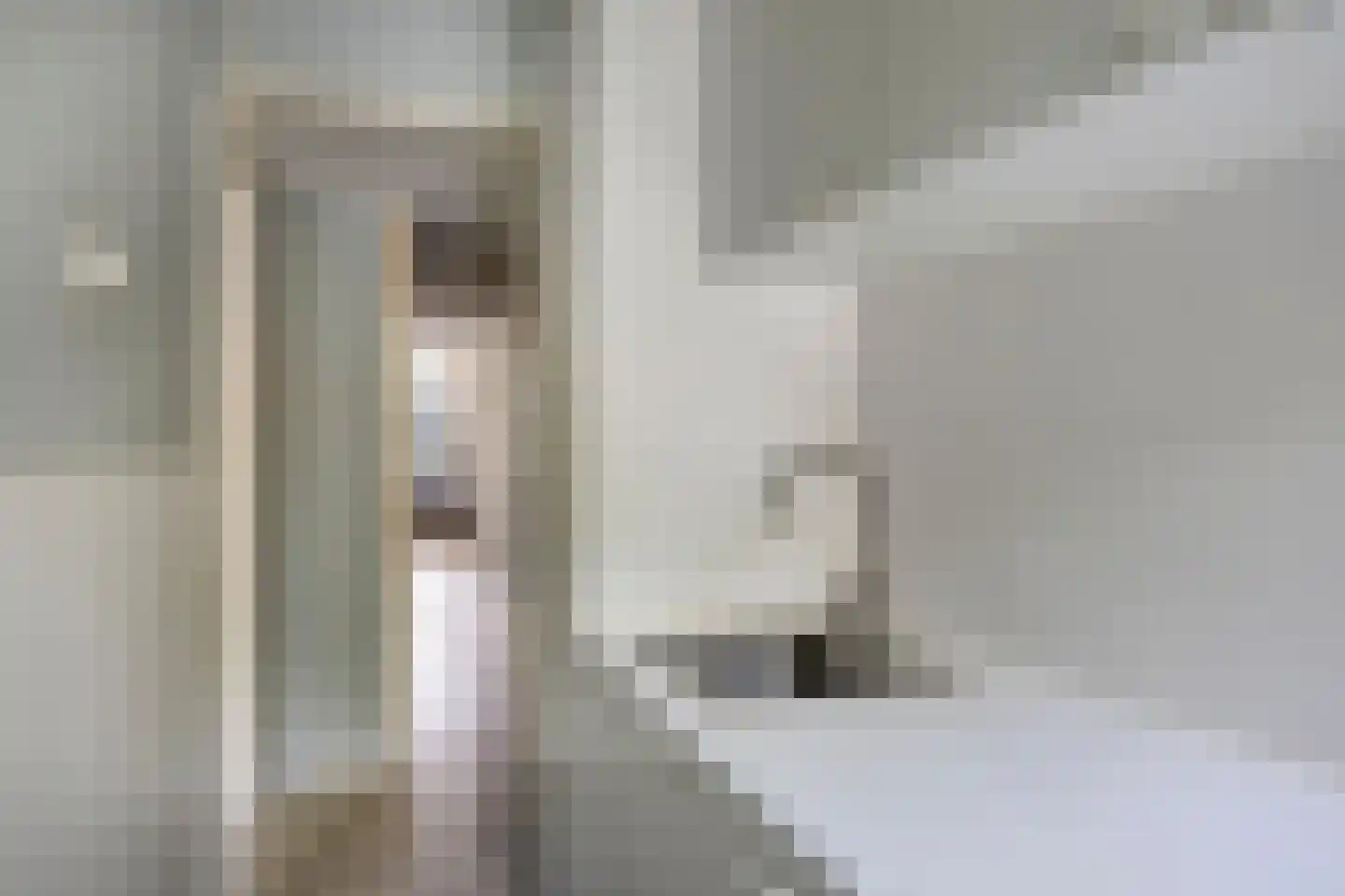 Dordtselaan 150 B Rotterdam thumbnail 9