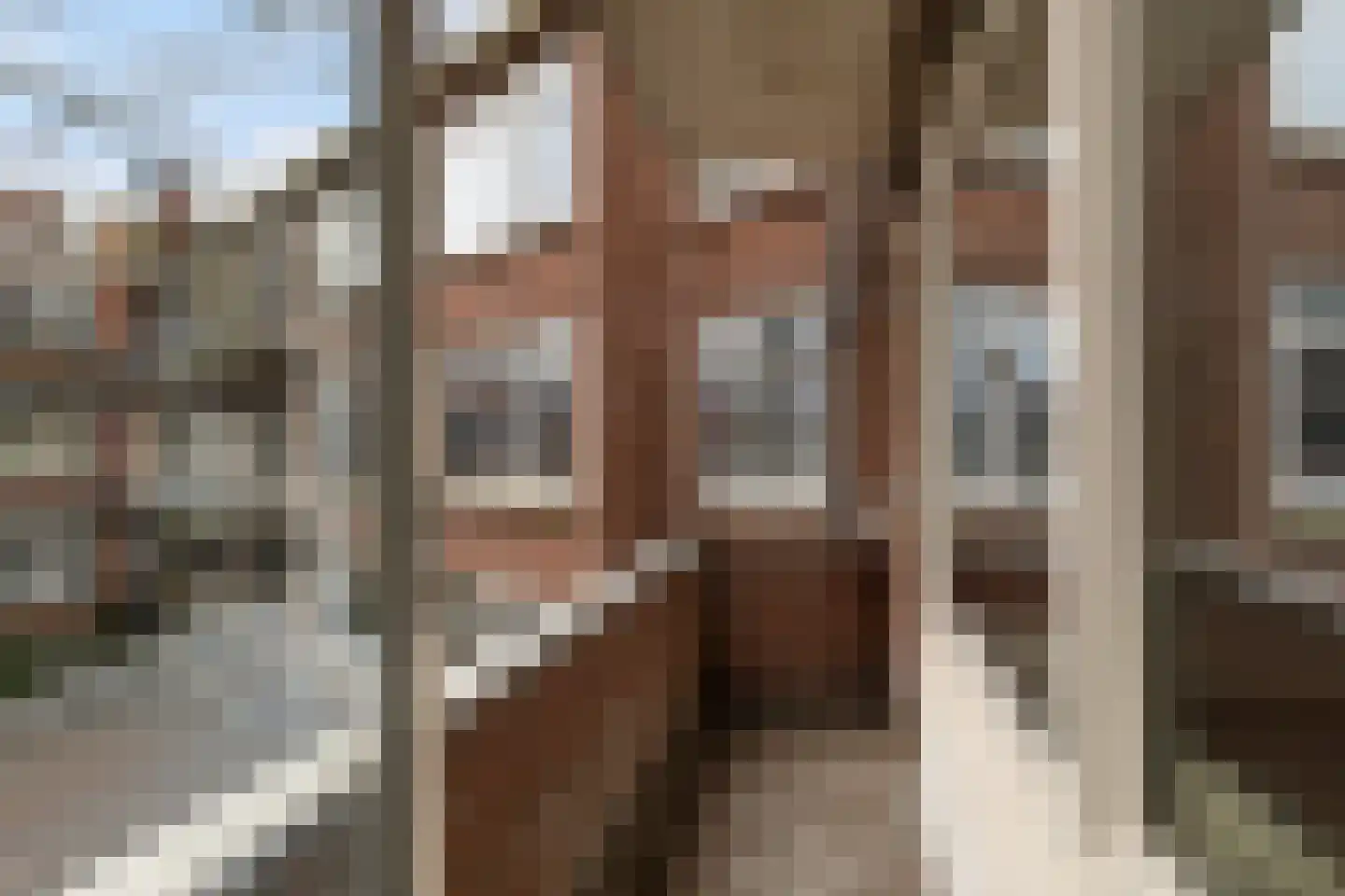 Dordtselaan 160 B Rotterdam thumbnail 13