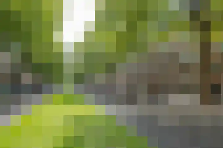 Dordtselaan 161 A Rotterdam thumbnail 20