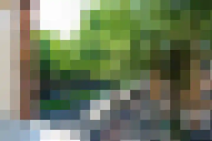 Dordtselaan 161 A Rotterdam thumbnail 5