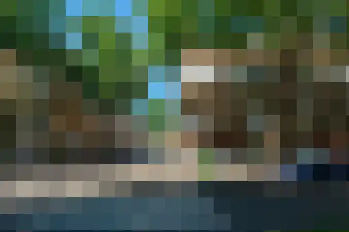 Dordtselaan 161 A Rotterdam thumbnail 6