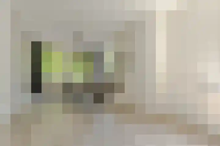 Dordtselaan 161 A Rotterdam thumbnail 8