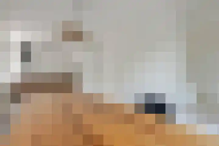 Dordtselaan 161 A Rotterdam thumbnail 9