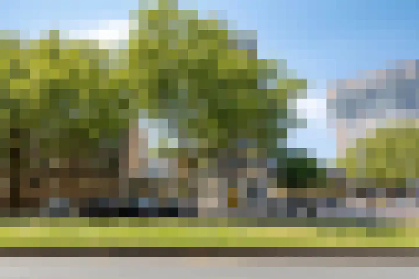 Dordtselaan 17 B Rotterdam thumbnail 18