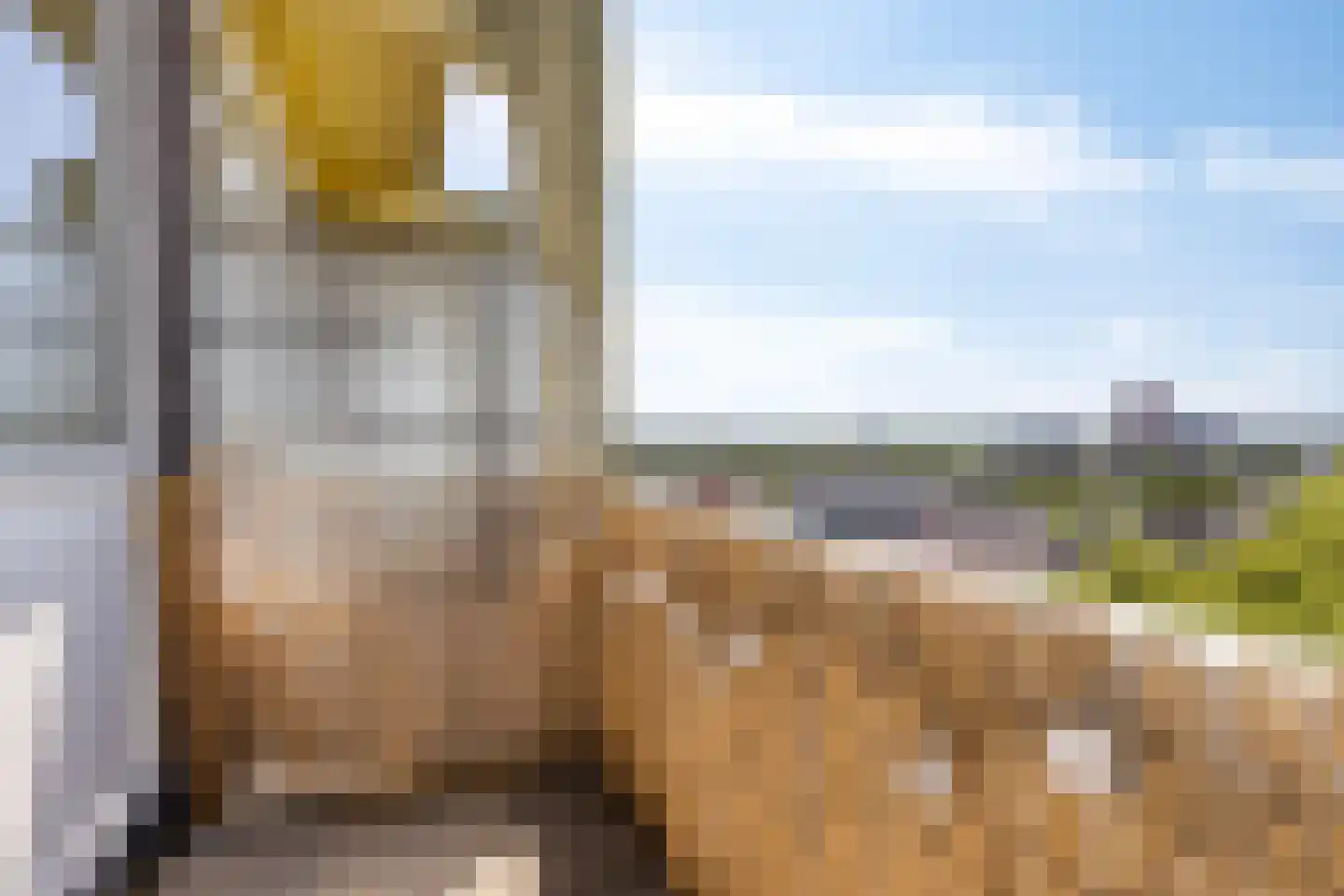 Dordtselaan 17 B Rotterdam thumbnail 8