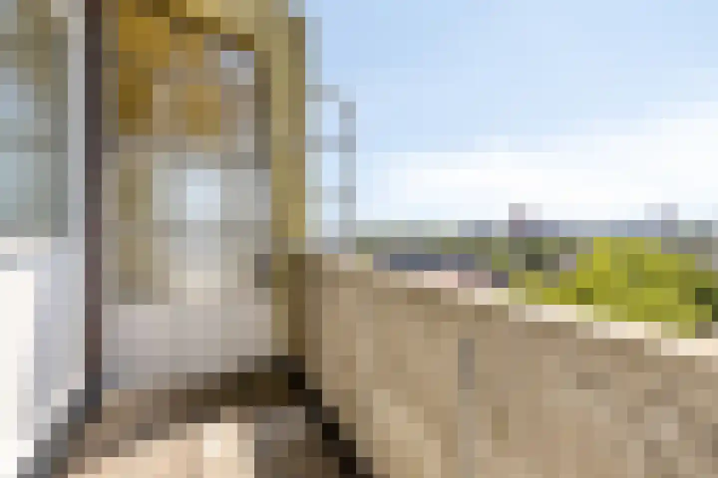 Dordtselaan 17 C Rotterdam thumbnail 13