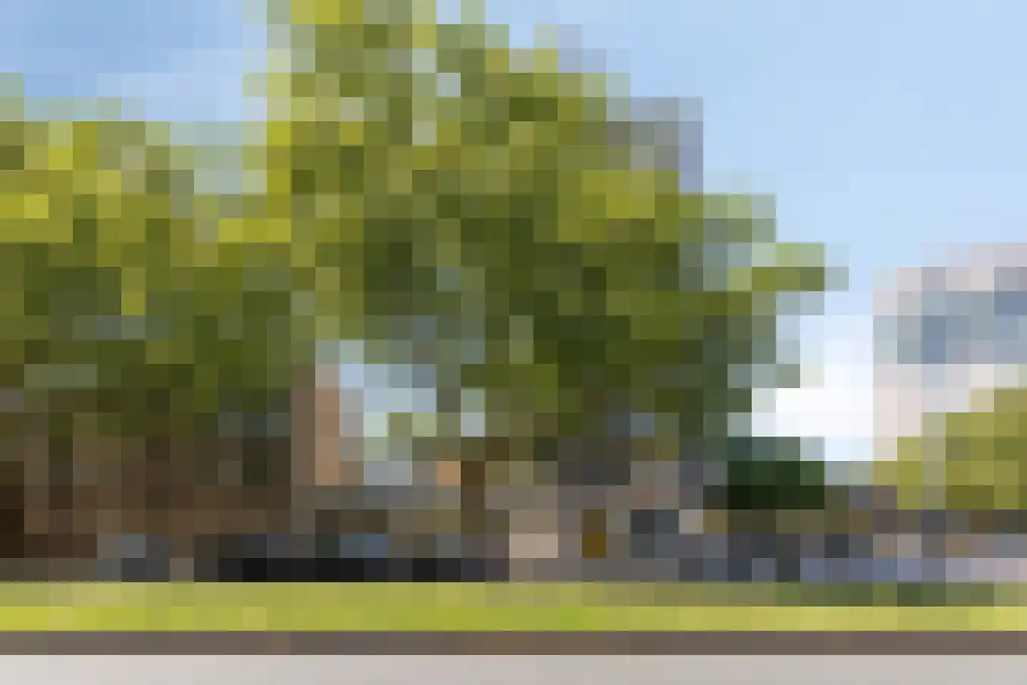 Dordtselaan 17 C Rotterdam thumbnail 17