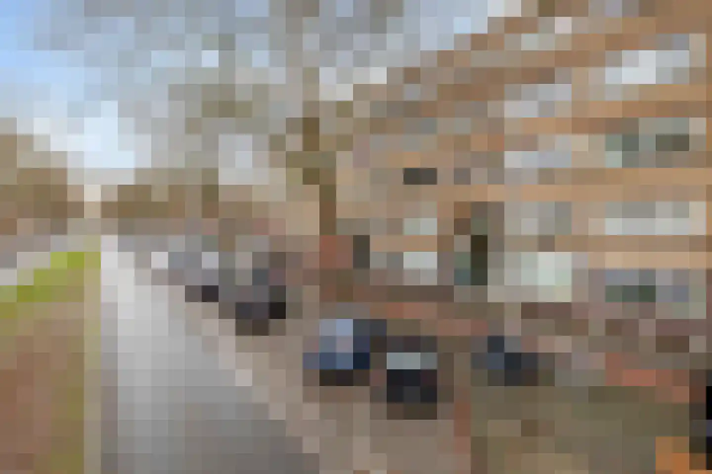 Dordtselaan 170 C Rotterdam thumbnail 22