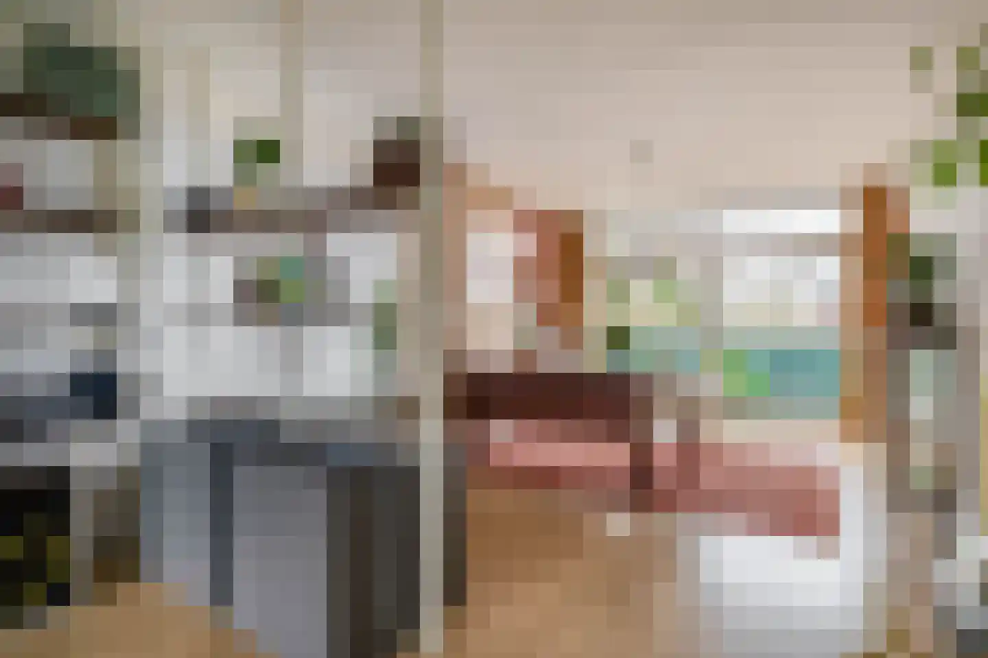 Dordtselaan 170 C Rotterdam thumbnail 4
