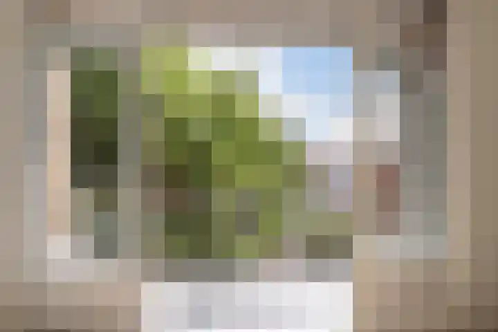 Dordtselaan 170 D Rotterdam thumbnail 10