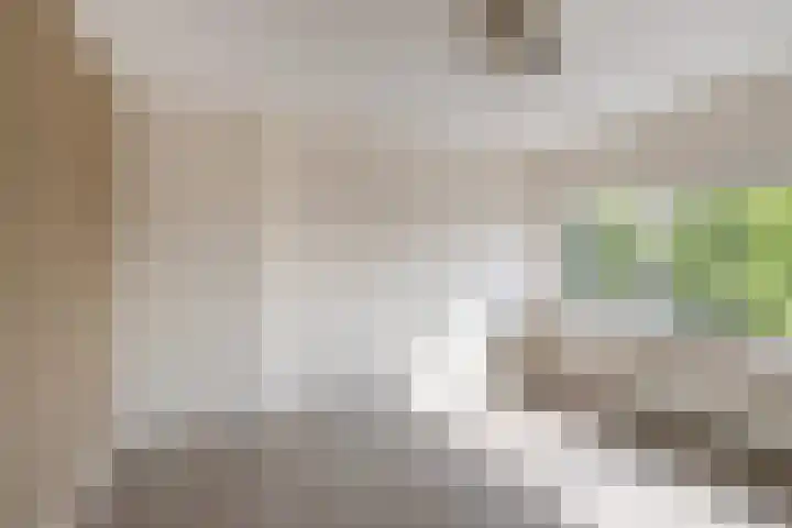 Dordtselaan 170 D Rotterdam thumbnail 15