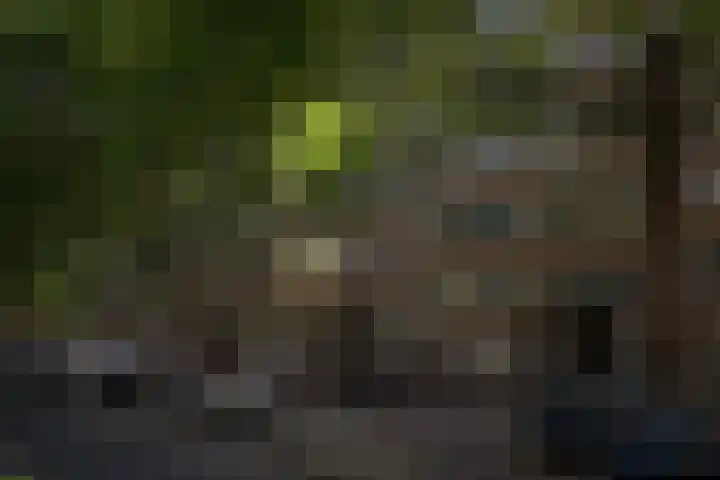 Dordtselaan 170 D Rotterdam thumbnail 23