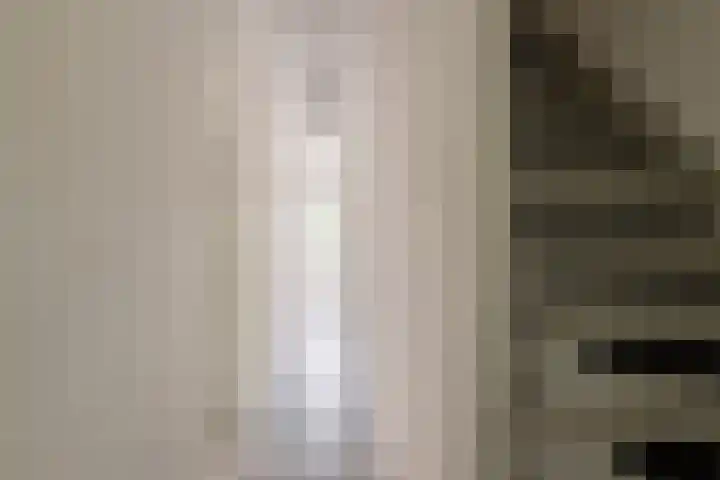 Dordtselaan 170 D Rotterdam thumbnail 4