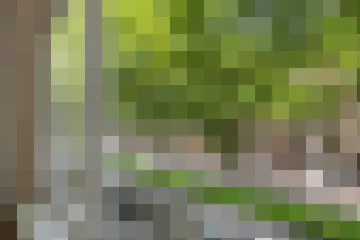 Dordtselaan 170 D Rotterdam thumbnail 6