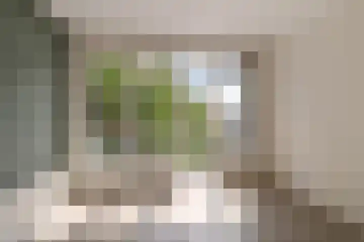 Dordtselaan 170 D Rotterdam thumbnail 9