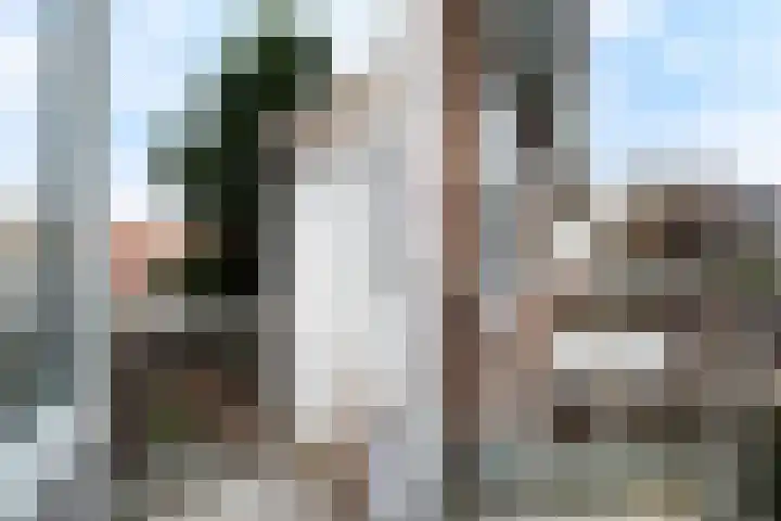Dordtselaan 178 C Rotterdam thumbnail 18