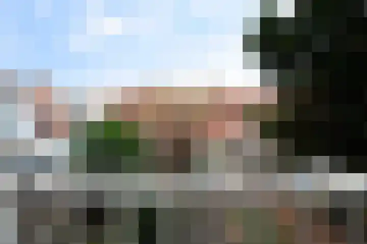 Dordtselaan 178 C Rotterdam thumbnail 20