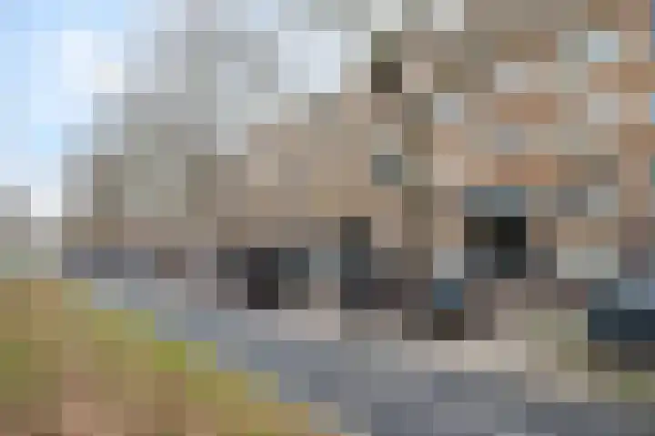 Dordtselaan 178 C Rotterdam thumbnail 5