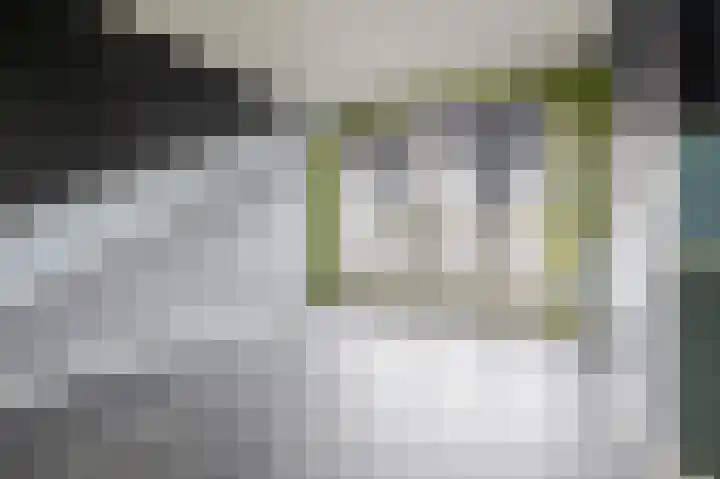 Dordtselaan 179 B Rotterdam thumbnail 12