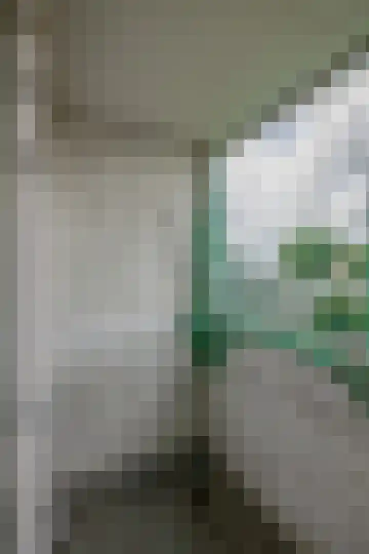 Dordtselaan 179 B Rotterdam thumbnail 19