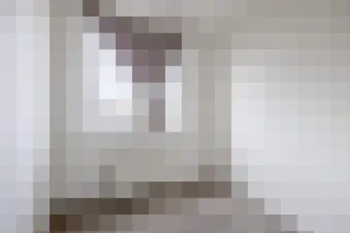 Dordtselaan 179 B Rotterdam thumbnail 20
