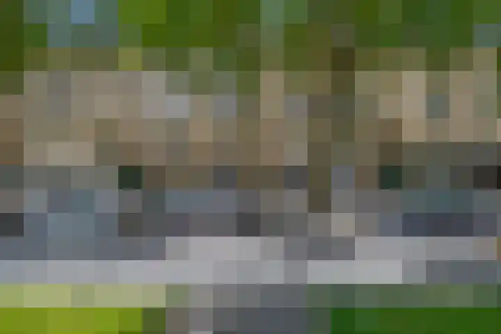 Dordtselaan 179 B Rotterdam thumbnail 23