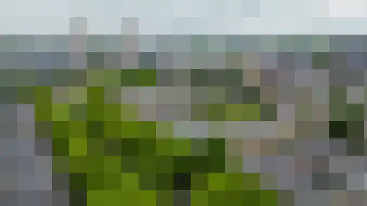 Dordtselaan 179 B Rotterdam thumbnail 28