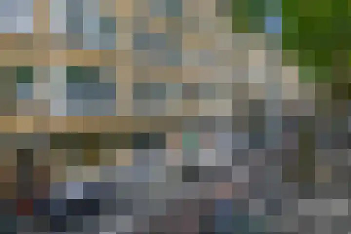 Dordtselaan 179 B Rotterdam thumbnail 30