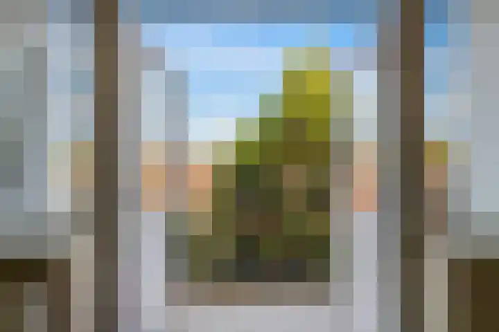 Dordtselaan 180 C Rotterdam thumbnail 18