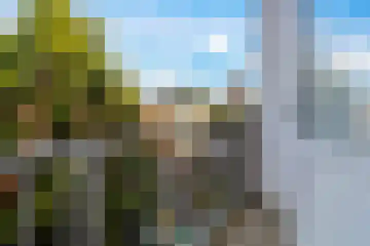 Dordtselaan 180 C Rotterdam thumbnail 19