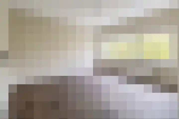 Dordtselaan 180 C Rotterdam thumbnail 21