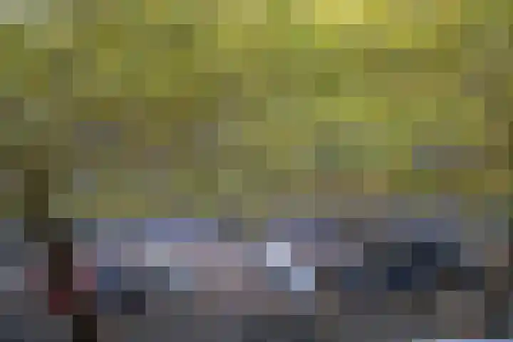 Dordtselaan 180 C Rotterdam thumbnail 30