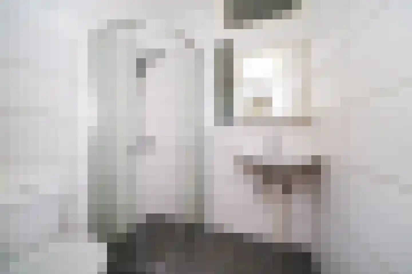Dordtselaan 180 D Rotterdam thumbnail 16