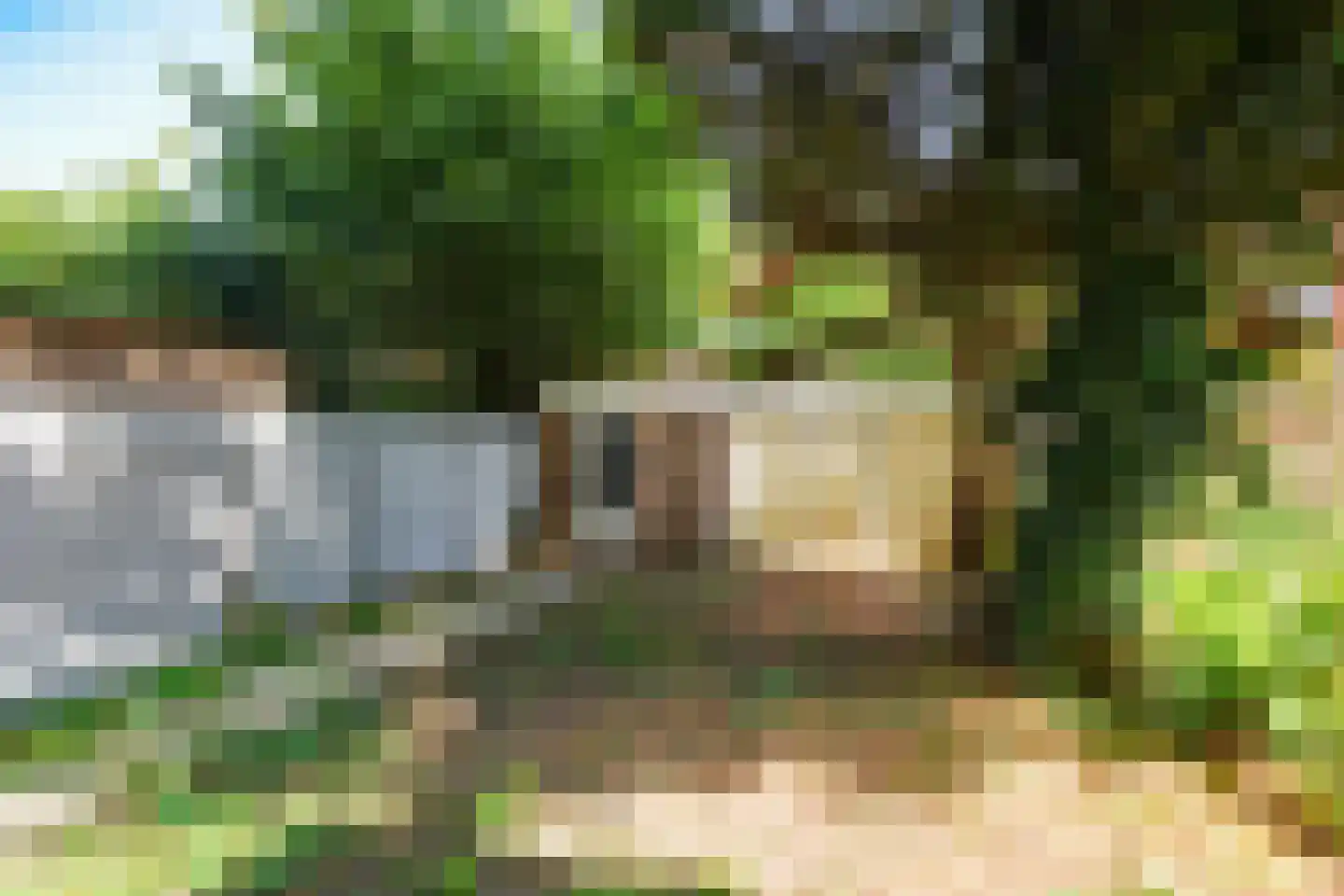 Dordtselaan 180 D Rotterdam thumbnail 19