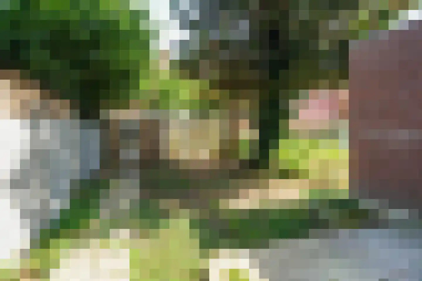 Dordtselaan 180 D Rotterdam thumbnail 21