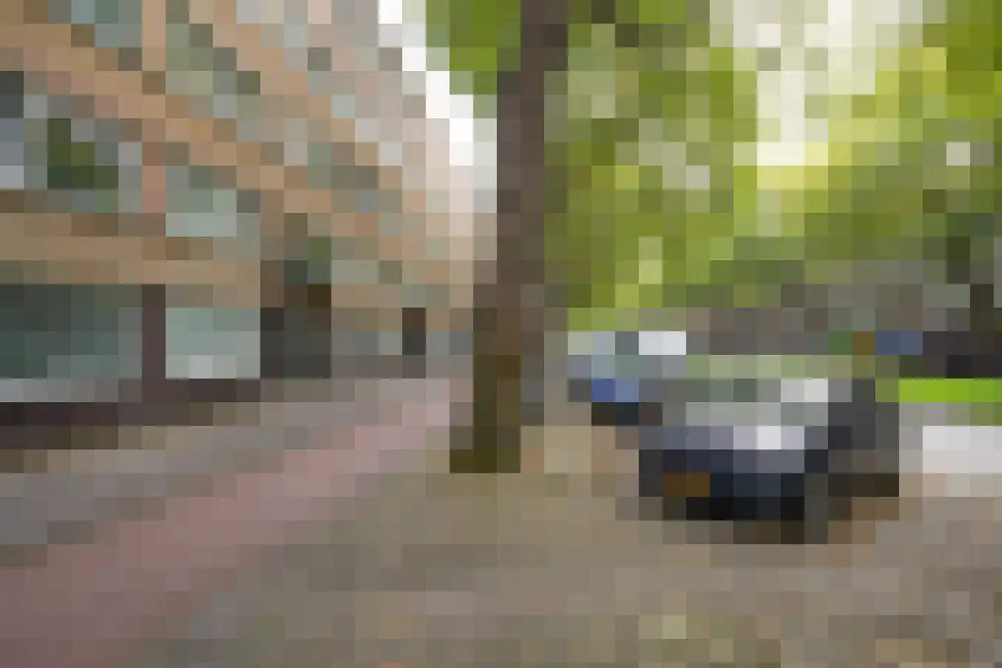 Dordtselaan 180 D Rotterdam thumbnail 29