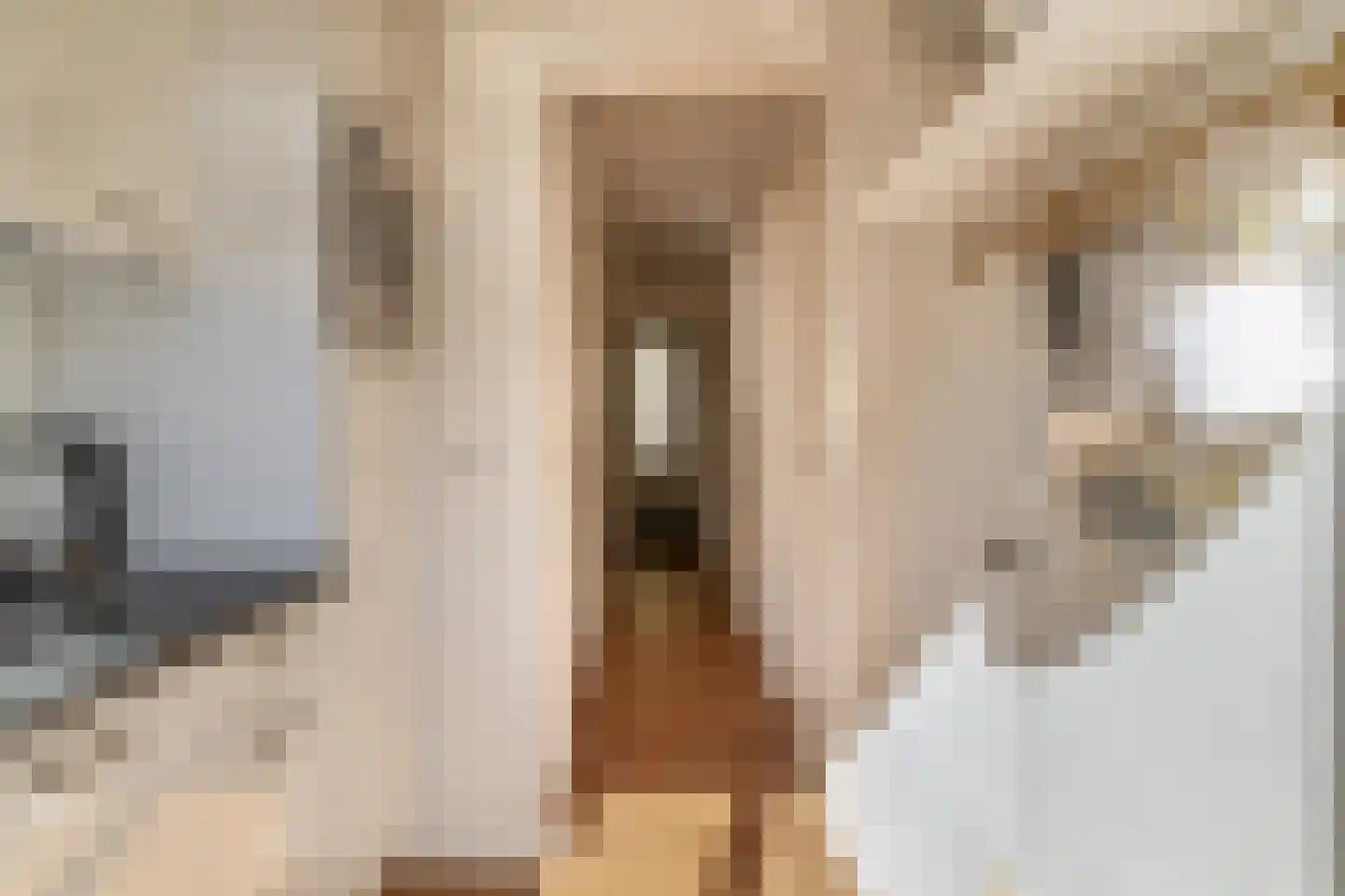 Dordtselaan 186 A Rotterdam thumbnail 18