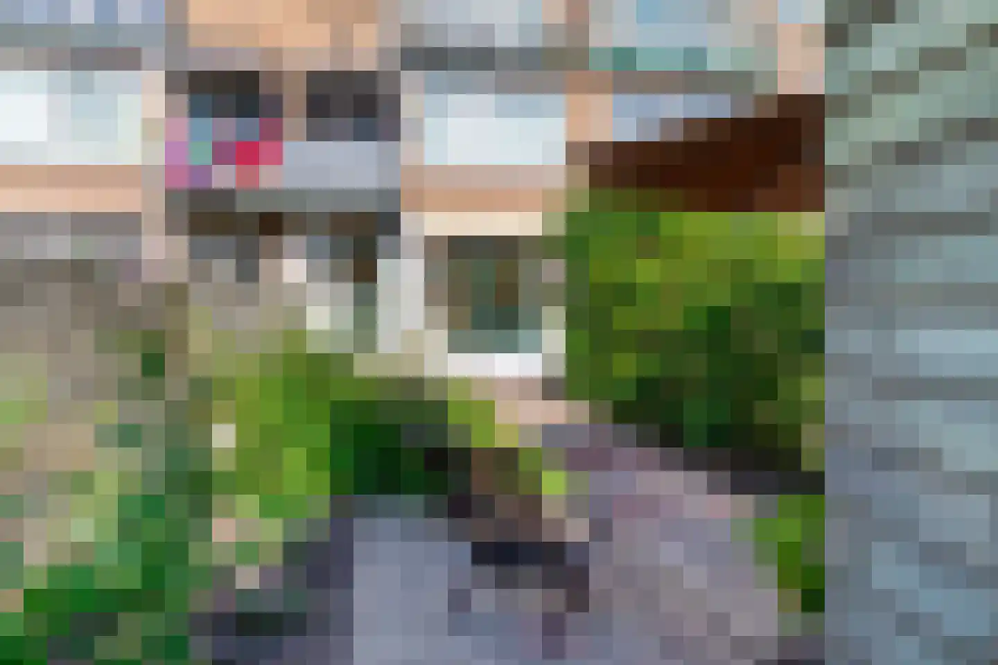 Dordtselaan 186 A Rotterdam thumbnail 23