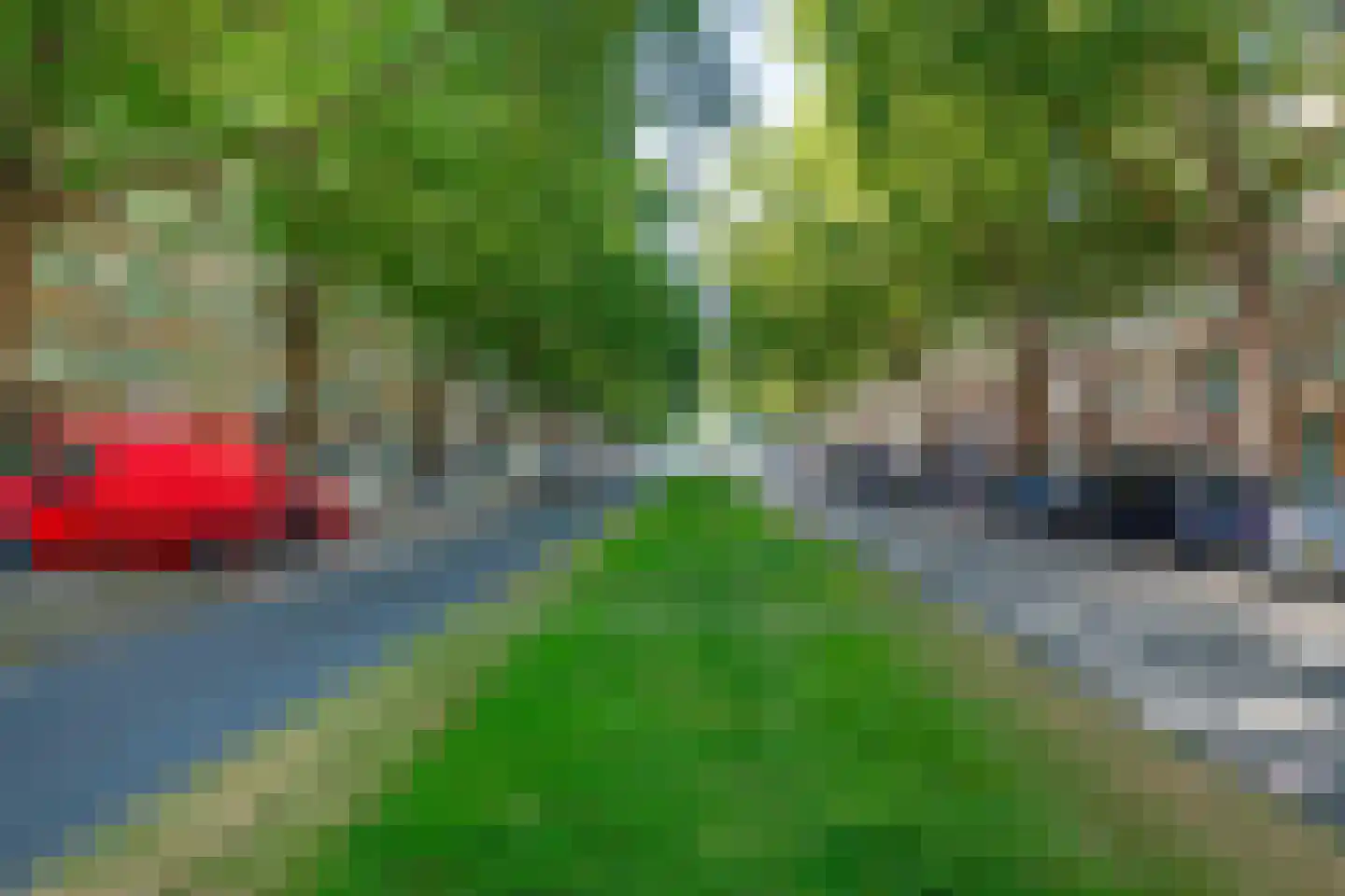 Dordtselaan 186 A Rotterdam thumbnail 7