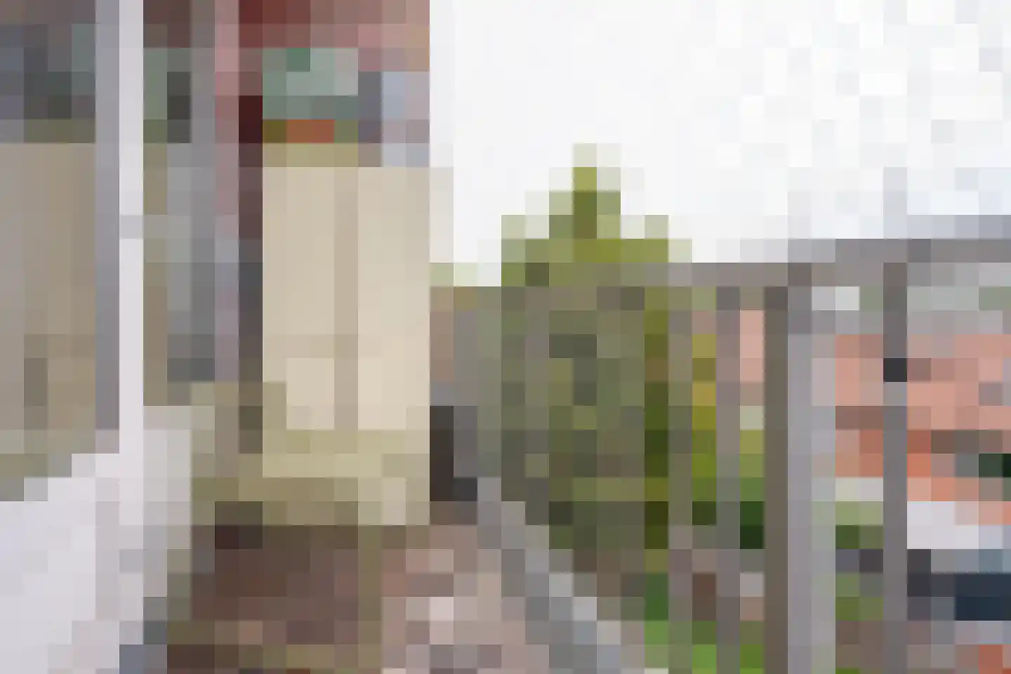 Dordtselaan 186 B Rotterdam thumbnail 16
