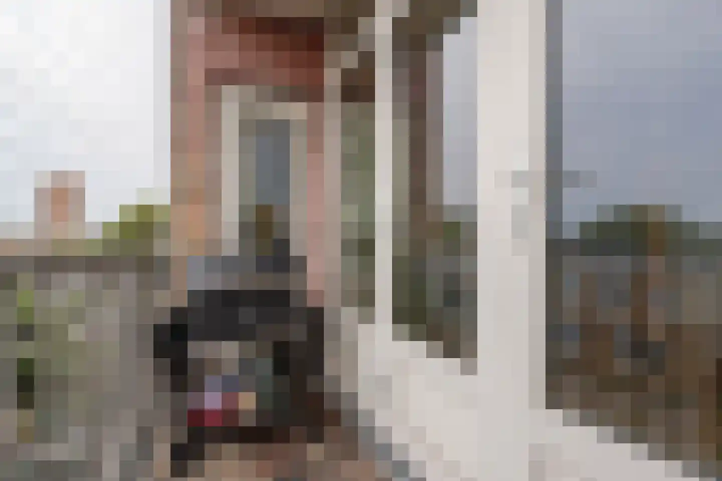Dordtselaan 186 B Rotterdam thumbnail 17
