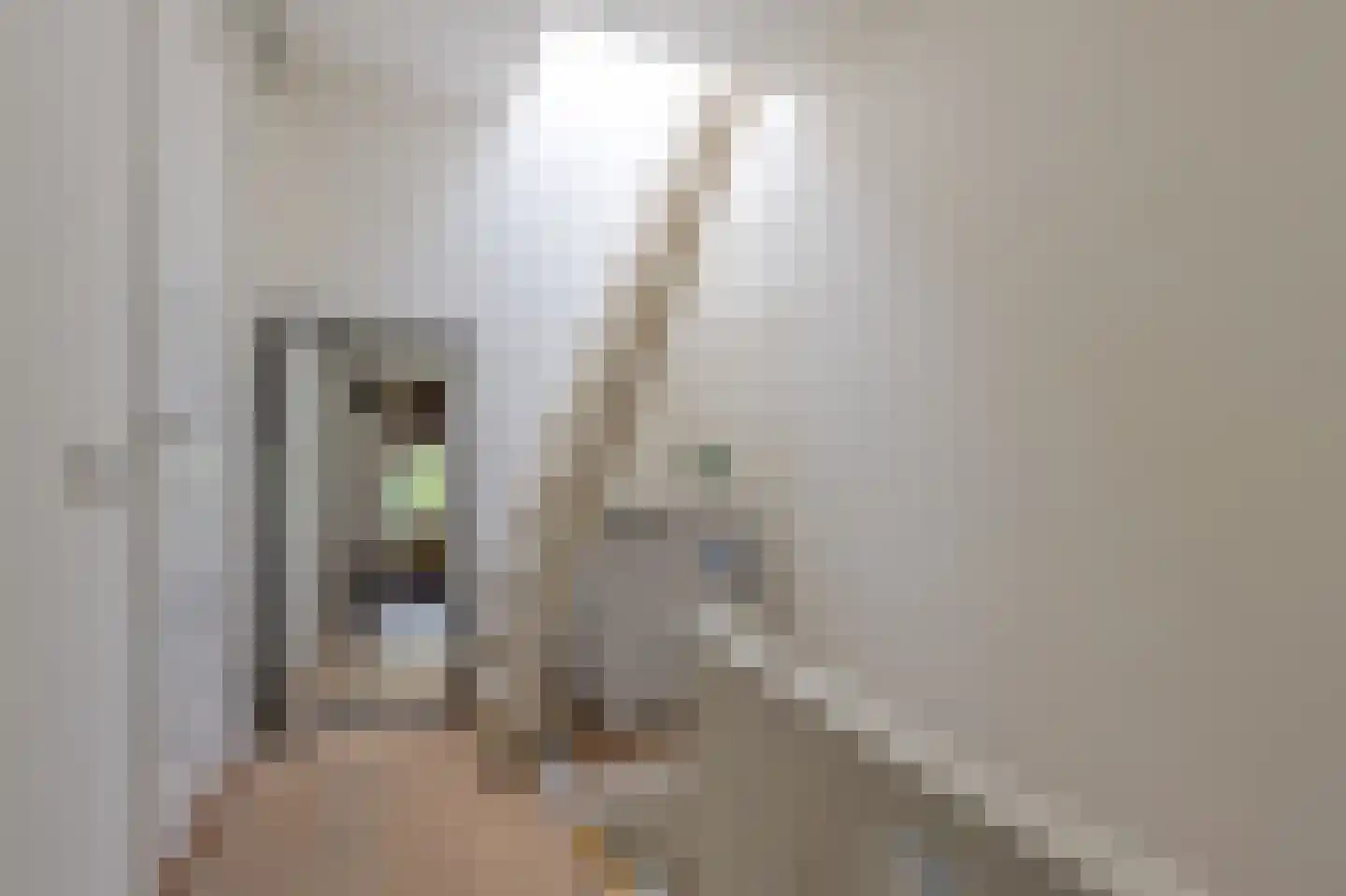 Dordtselaan 186 B Rotterdam thumbnail 20