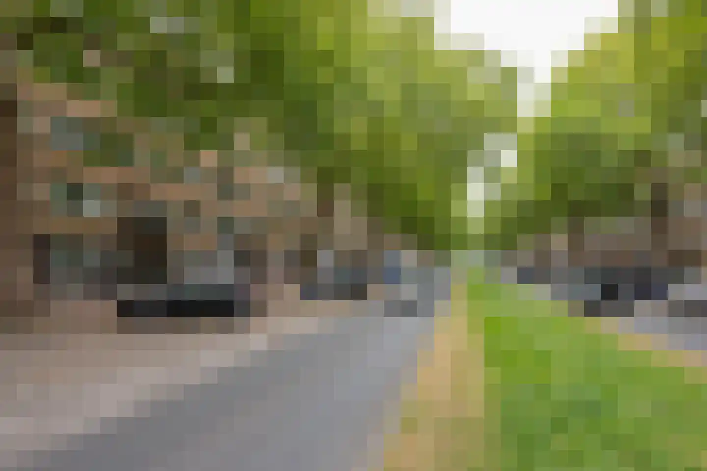 Dordtselaan 186 B Rotterdam thumbnail 28