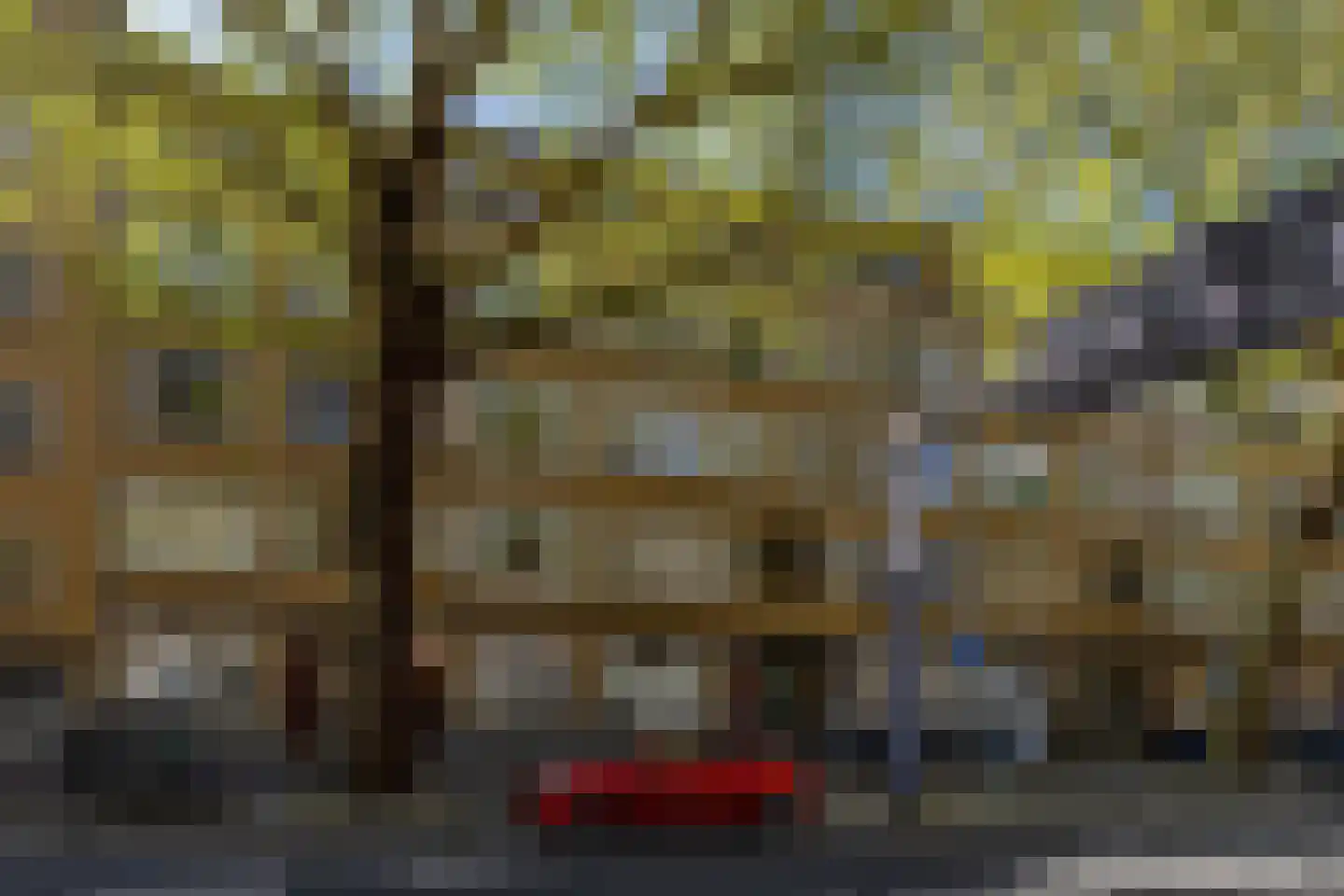 Dordtselaan 187 A 02 Rotterdam thumbnail 30